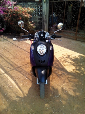 ฟีโน่ปี51