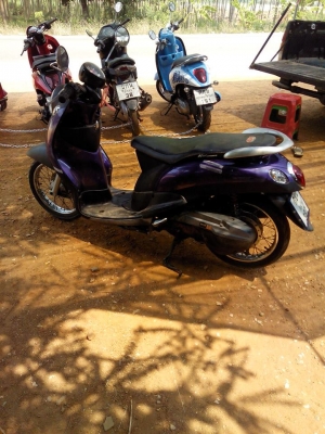 ฟีโน่ปี51