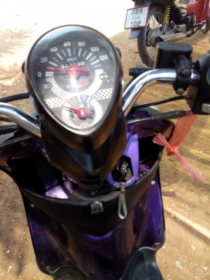 ฟีโน่ปี51