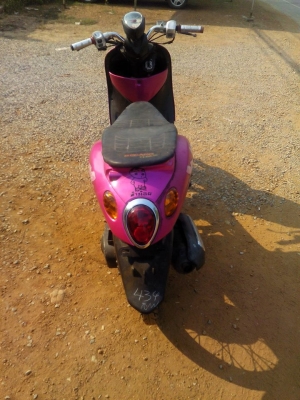 ฟีโน่ปี50 ฟีโน่ปี50