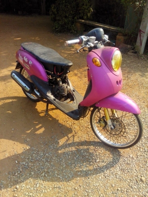 ฟีโน่ปี50