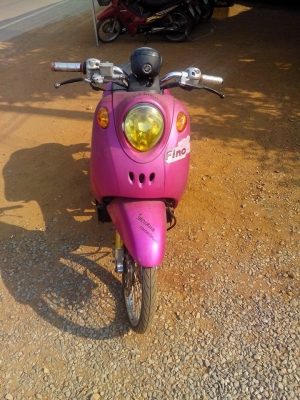 ฟีโน่ปี50 ฟีโน่ปี50