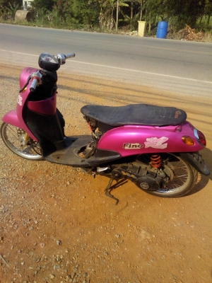 ฟีโน่ปี50 ฟีโน่ปี50