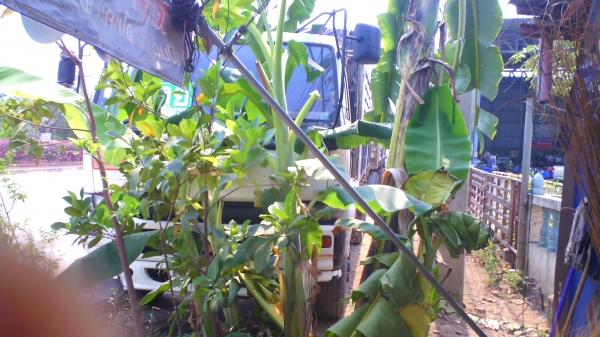 ์รถบรรทุก NISSAN CW41M รถปี 33 แม่ลูก ลูกพ่วง 3 คาน มีทะเบียนครบ ชอบราคาเท่าไรต่อรองได้ครับ