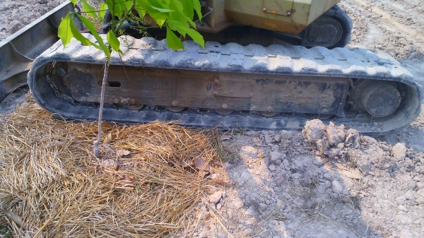 รถขุด KOMATSU PC40-6 รถเก่าญี่ปุ่น ใช้งานในไทยเพียง 6 เดือน ชอบราคาเท่าไรต่อรองได้ครับ