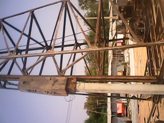 ขายปั้นจั่น 3 ตัว