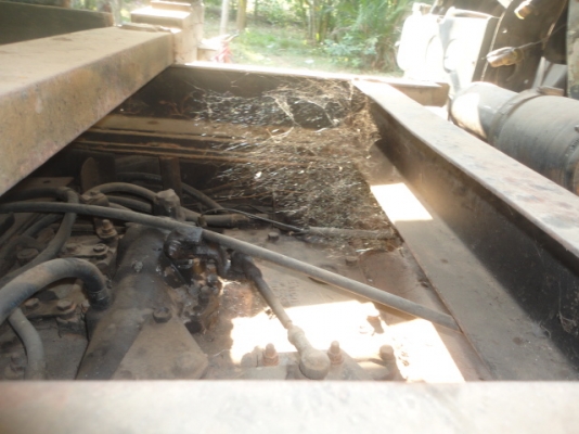 ISUZU FXZ 240 TURBO  หัวขายราคา  950,000 บาทค่ะ  หางพ่วงขายราคา   300,000  บาทค่ะ