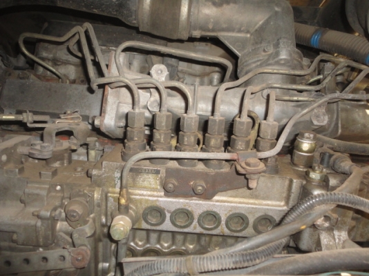 ISUZU FXZ 240 TURBO  หัวขายราคา  950,000 บาทค่ะ  หางพ่วงขายราคา   300,000  บาทค่ะ