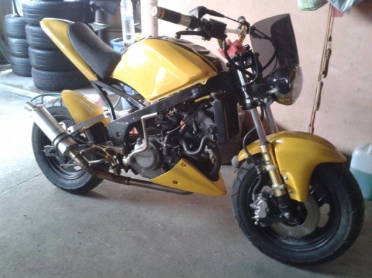 ขาย ducati  มินิ  16500