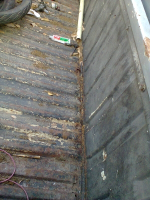 นิสัน Nissan