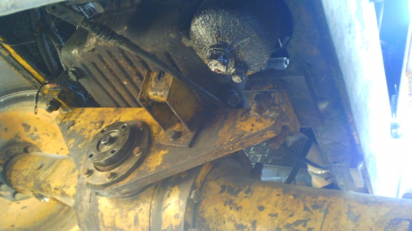 รถตักล้อยาง ฟูรูกาว่า FL80 บุ้งกี๋ขนาด 1.3 คิว รถสวย แรงดี ชอบราคาเท่าไรต่อรองได้ครับ