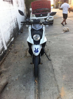 ขาย TTX โมตาร์ด ขาย TTX โมตาร์ด