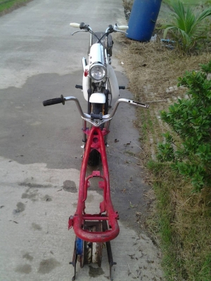 ขายYAMAHAชิบปี้แถมโครงด้วยครับ