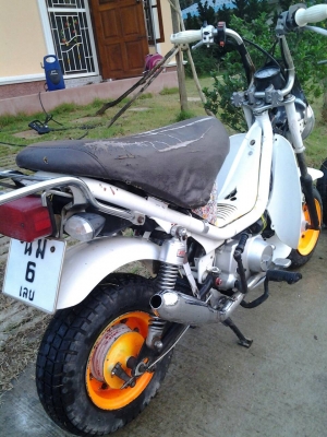 ขายYAMAHAชิบปี้แถมโครงด้วยครับ