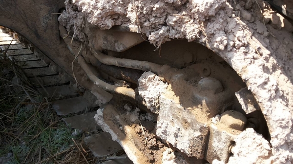 **870,000 บ.ต่อรอง**ขาย แบคโฮ KOBELCO Mark3 sk120 ไฟฟ้าเต็ม เครื่องเดิมปั้มเดิม แน่นดี แรง ช่วงล่างดี แทรกดีโรลเลอร์ดี โซ่ดี เอวแน่นทำงานดีไม่โหลด แอร์เย็น สีสันพอใช้ รถทำงานปกติ เอกสารเล่มทะเบียน พร้อมใช้ พร้อมลุยงาน ราคาต่อรองได้เด้อ พี่น้องครับ **870,000 บ.ต่อรอง**ขาย แบคโฮ KOBELCO Mark3 sk120 ไฟฟ้าเต็ม เครื่องเดิมปั้มเดิม แน่นดี แรง ช่วงล่างดี แทรกดีโรลเลอร์ดี โซ่ดี เอวแน่นทำงานดีไม่โหลด แอร์เย็น สีสันพอใช้ รถทำงานปกติ เอกสารเล่มทะเบียน พร้อมใช้ พร้อมลุยงาน ราคาต่อรองได้เด้อ พี่น้องครับ