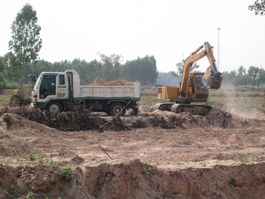 ขายโคมัสสุ