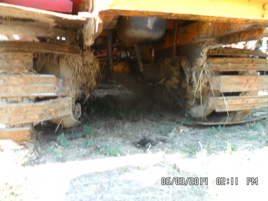 จ้าวช้างปี54พร้อมรถลากขายคู่1900000