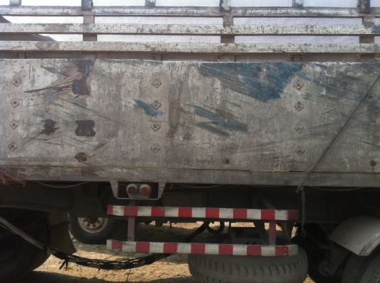 ขายไอ่หลงเทอร์โบแม่+ลูก ขายไอ่หลงเทอร์โบแม่+ลูก