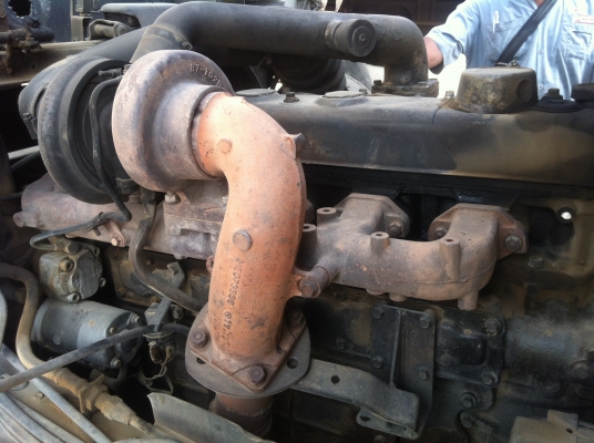 ขายไอ่หลงเทอร์โบแม่+ลูก ขายไอ่หลงเทอร์โบแม่+ลูก