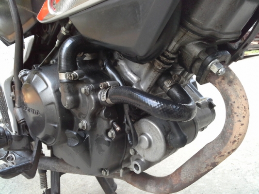 ขายโชนิคตัวใหม่สตาทมือ