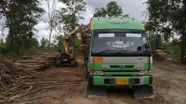 ขายปากคีบไม้ ขายปากคีบไม้