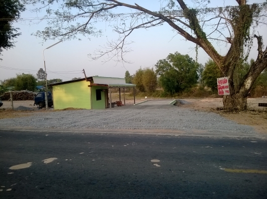 ขายปากคีบไม้ ขายปากคีบไม้