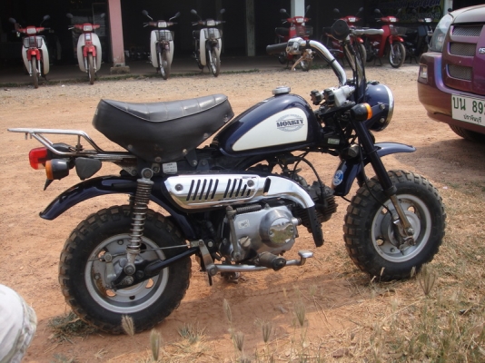 ขายมังกี้ ญี่ปุ่นแท้ ครัชมือ