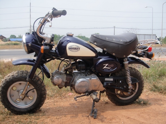 ขายมังกี้ ญี่ปุ่นแท้ ครัชมือ ขายมังกี้ ญี่ปุ่นแท้ ครัชมือ