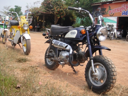 ขายมังกี้ ญี่ปุ่นแท้ ครัชมือ ขายมังกี้ ญี่ปุ่นแท้ ครัชมือ