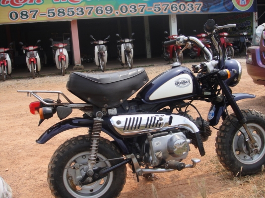 ขายมังกี้ ญี่ปุ่นแท้ ครัชมือ ขายมังกี้ ญี่ปุ่นแท้ ครัชมือ