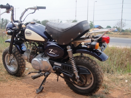 ขายมังกี้ ญี่ปุ่นแท้ ครัชมือ ขายมังกี้ ญี่ปุ่นแท้ ครัชมือ