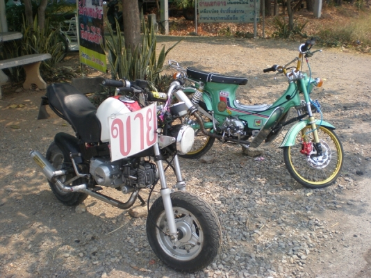 ขาย ชาลี สีเขียว เครื่องเวฟฝาไนท์ สภาพดี ขี่มันส์ สนใจโทรมาคุยกันได้ครับ 086-8063966 โอ๋ ลพบุรี