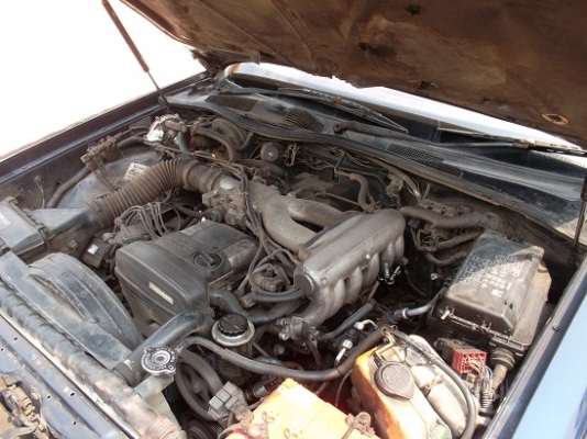 ขายไปแล้ว ขอบคุณ พี่เสือ ครับ