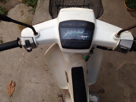 ดรีมตูดเป็ด