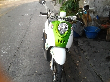 ฟีโน่ปี2554 ฟีโน่ปี2554