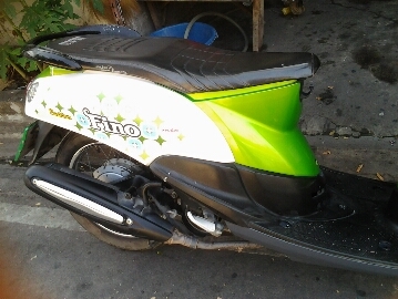 ฟีโน่ปี2554 ฟีโน่ปี2554