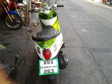 ฟีโน่ปี2554 ฟีโน่ปี2554