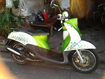 ฟีโน่ปี2554