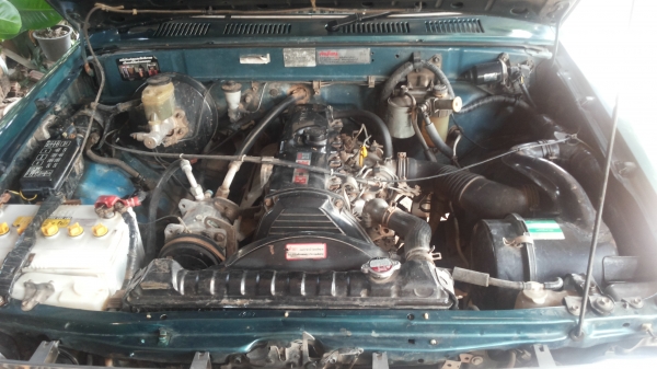 ไมตี้ x แค้บ ปี 37 สวยๆเดิมๆครับ ไมตี้ x แค้บ ปี 37 สวยๆเดิมๆครับ