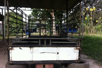 ขาย 4ล้อกลาง ISUZU TL หัวการ์ตูน