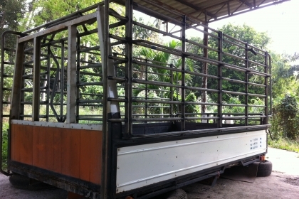 ขาย 4ล้อกลาง ISUZU TL หัวการ์ตูน