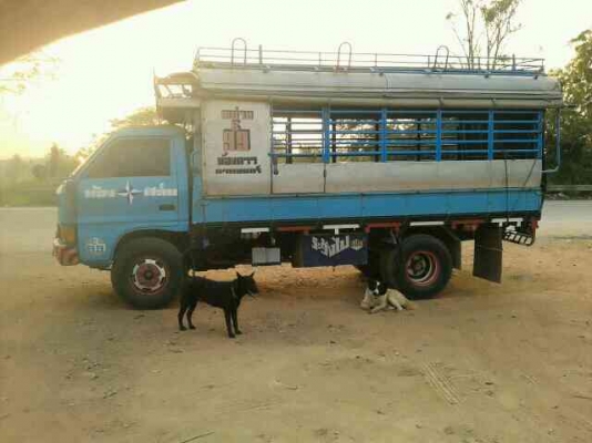 ขายหกล้อ Isuzu KS เครื่อง 4BD1 110แรง ฝาขาว กระบะยาว 4.30 เมตร ทะเบียนพร้อม