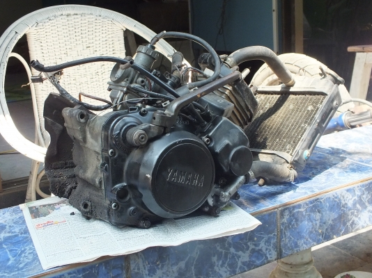 ขายแล้วครับ เสี่ย จ. ปทุมธานี จัดไป เรียบร้อยแล้ว