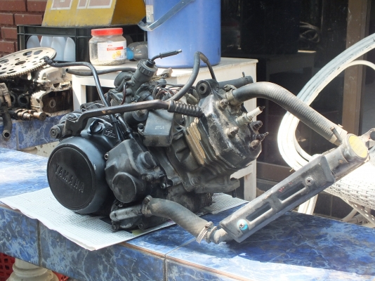 ขายแล้วครับ เสี่ย จ. ปทุมธานี จัดไป เรียบร้อยแล้ว ขายแล้วครับ เสี่ย จ. ปทุมธานี จัดไป เรียบร้อยแล้ว