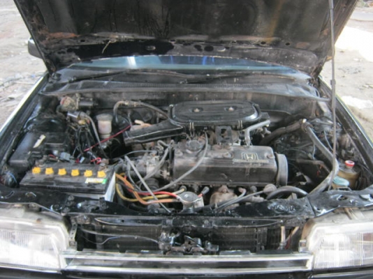 ขายแอคคอร์ดตาแมว เกียร์ออโตปี89ราคา29000 ขายแอคคอร์ดตาแมว เกียร์ออโตปี89ราคา29000