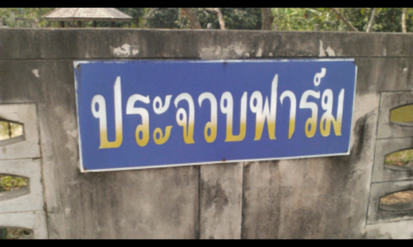 ขออนุญาติ พี่เสือขาย บ้าน พร้อมที่ดิน 1.75 ไร่เป็น กิจการฟาร์มปลา อยู่ อ.พานทอง