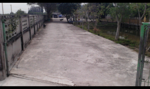 ขออนุญาติ พี่เสือขาย บ้าน พร้อมที่ดิน 1.75 ไร่เป็น กิจการฟาร์มปลา อยู่ อ.พานทอง