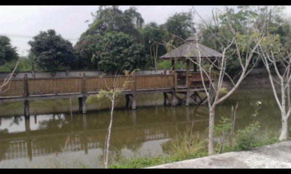 ขออนุญาติ พี่เสือขาย บ้าน พร้อมที่ดิน 1.75 ไร่เป็น กิจการฟาร์มปลา อยู่ อ.พานทอง