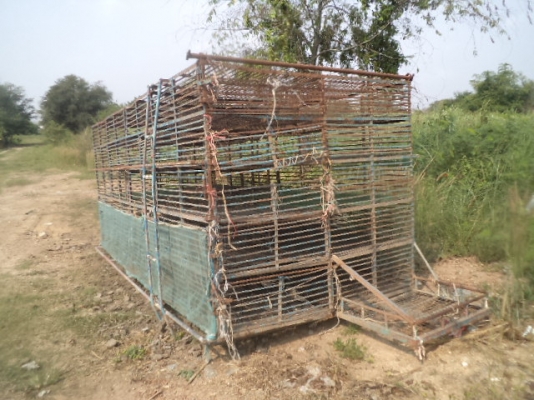 ขายกรงเป็ดราคา 15000 บาท เป็นกรงใหญ เหล็ก ซื้อไปก็ไม่ขาดทุน