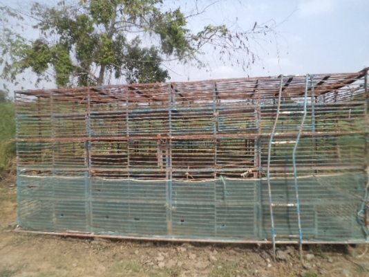 ขายกรงเป็ดราคา 15000 บาท เป็นกรงใหญ เหล็ก ซื้อไปก็ไม่ขาดทุน